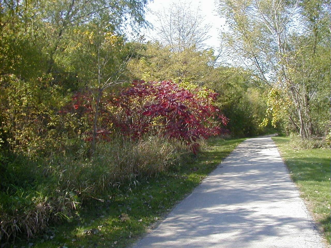 Walnut Creek Trail